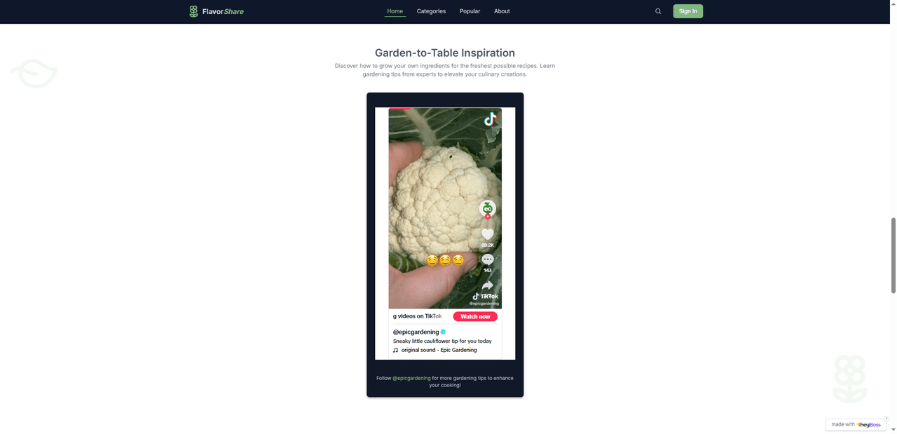 Example usage of Tiktok Video