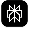 Perplexity Search API logo
